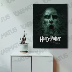 خرید تابلو عکس هری پاتر Harry Potter - کارماتوس (انواع قاب عکس و پوستر, قاب عکس) از کرماتوس