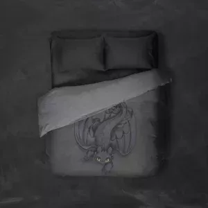 روتختی طرح مربی اژدها How to Train Your Dragon