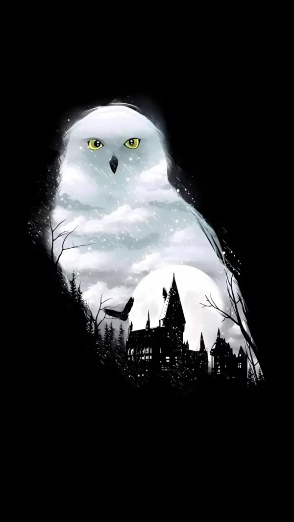 دانلود عکس هری پاتر Harry Potter با کیفیت 4k و و رزولویشن بالا - کارماتوس