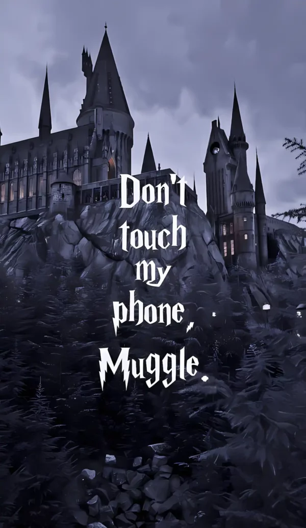 دانلود عکس هری پاتر Harry Potter با کیفیت 4k و و رزولویشن بالا - کارماتوس