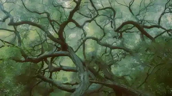 والپیپر جنگل تاریک و رازآلود